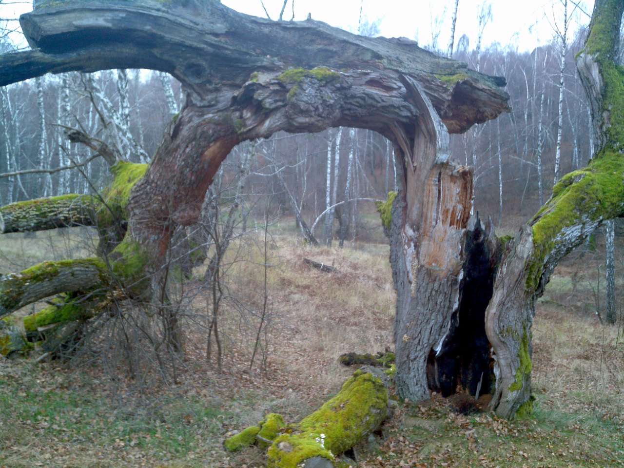 Городище - Городец