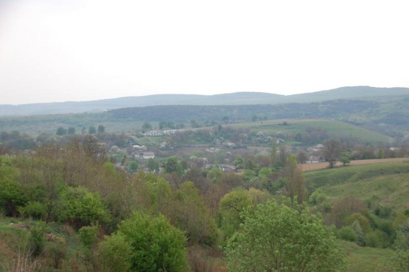 Горошівці з panoramio.com - Горошівці