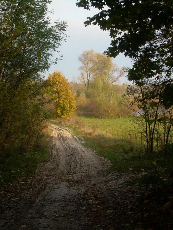 Кошари з panoramio.com - Кошари