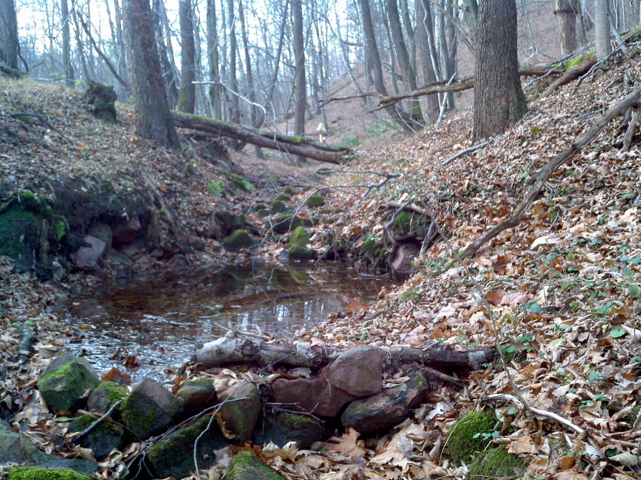 Городище - Городец