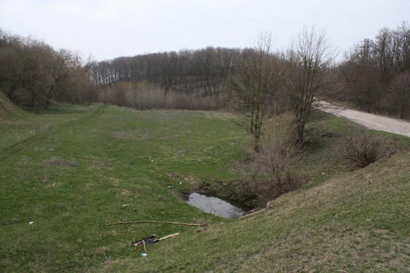 Лящівка з panoramio.com - Lyaschivka