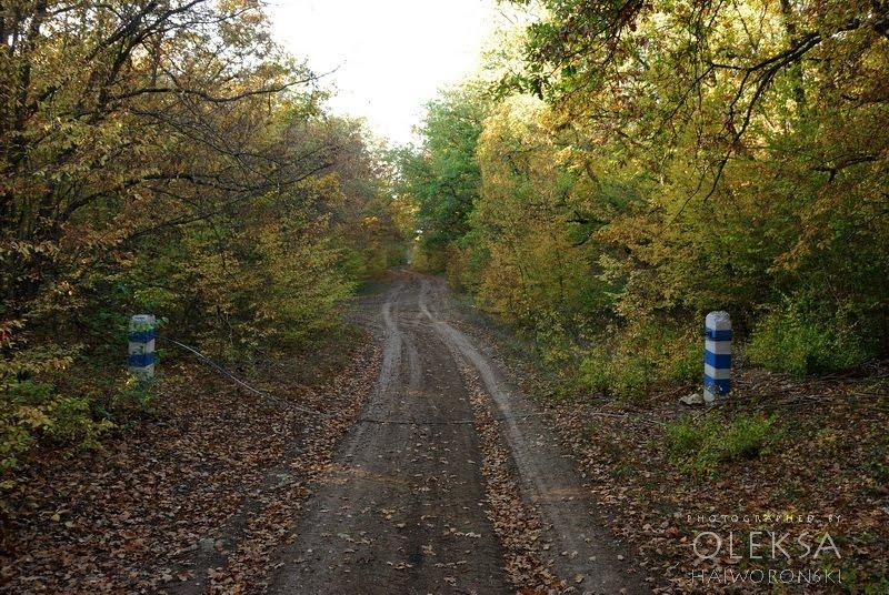 Фронтове з panoramio.com - Фронтове