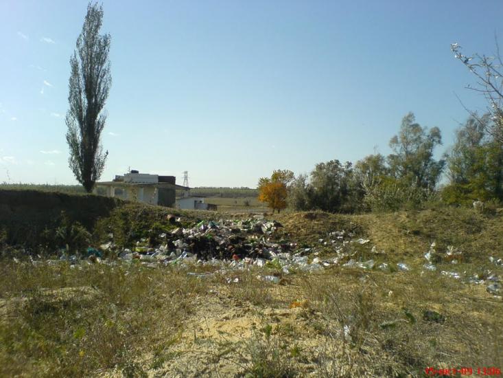 Новокам'янка з panoramio.com - Новокам'янка
