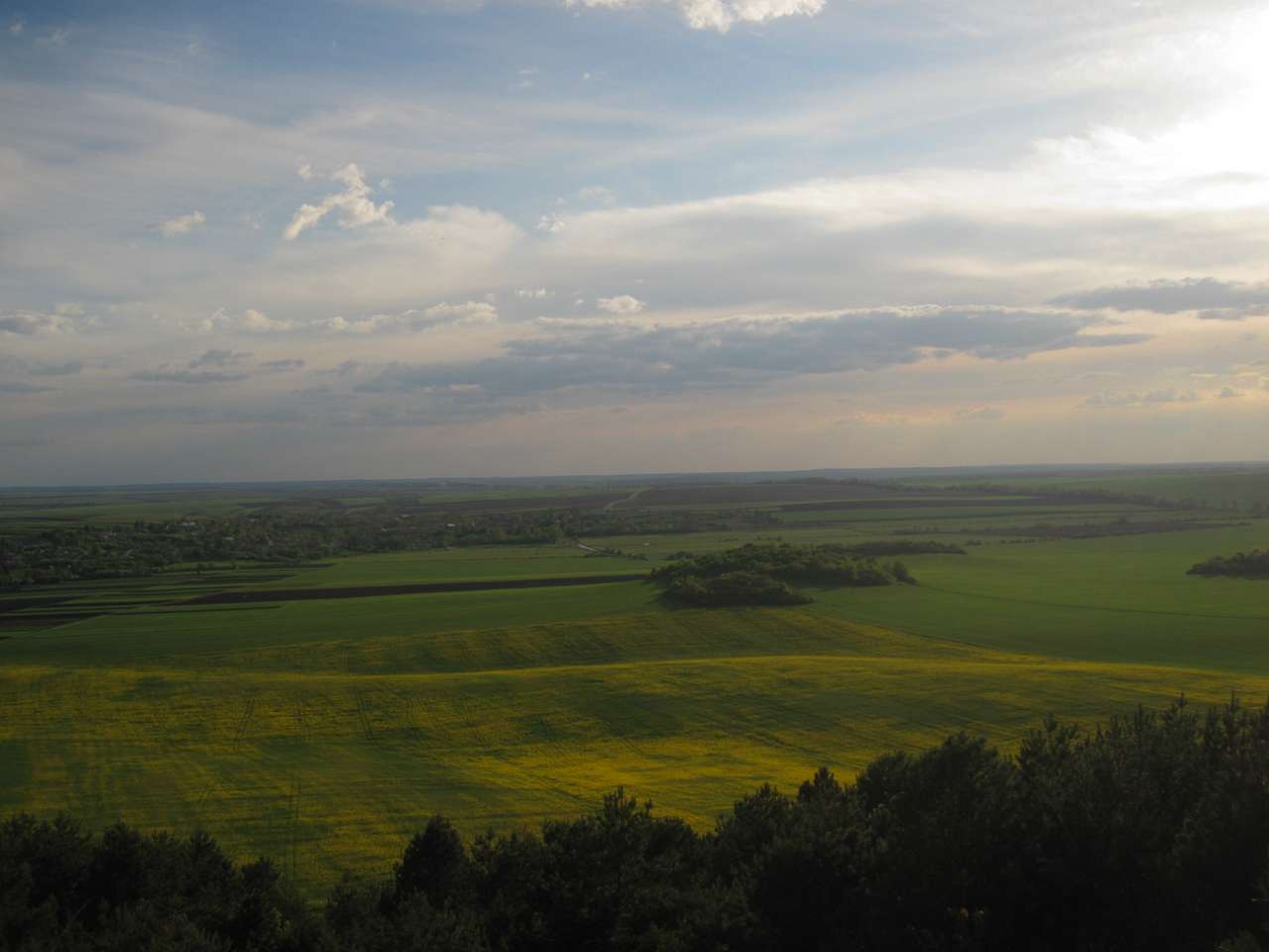 Медобори - Вікно
