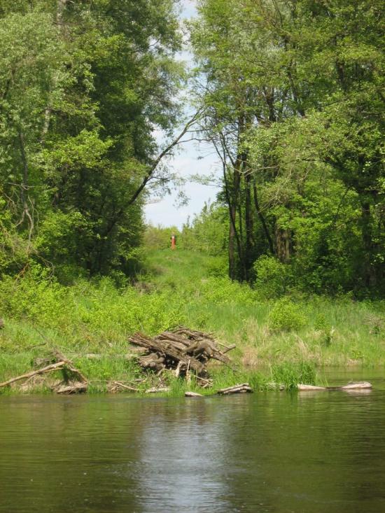 Кошари з panoramio.com - Кошари