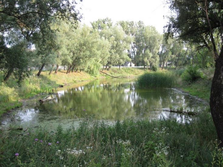 Глибоке з panoramio.com - Глубокое