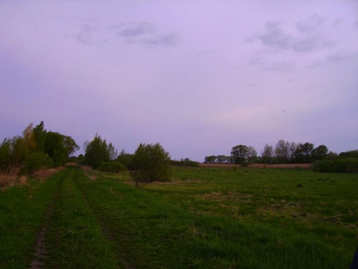 Середівка з panoramio.com - Середівка