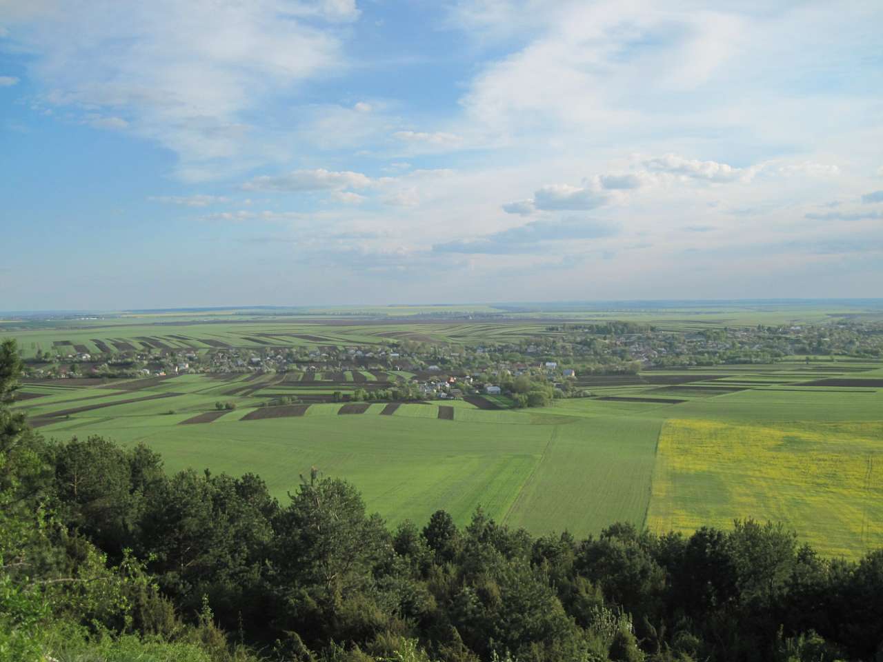 Медобори - Вікно