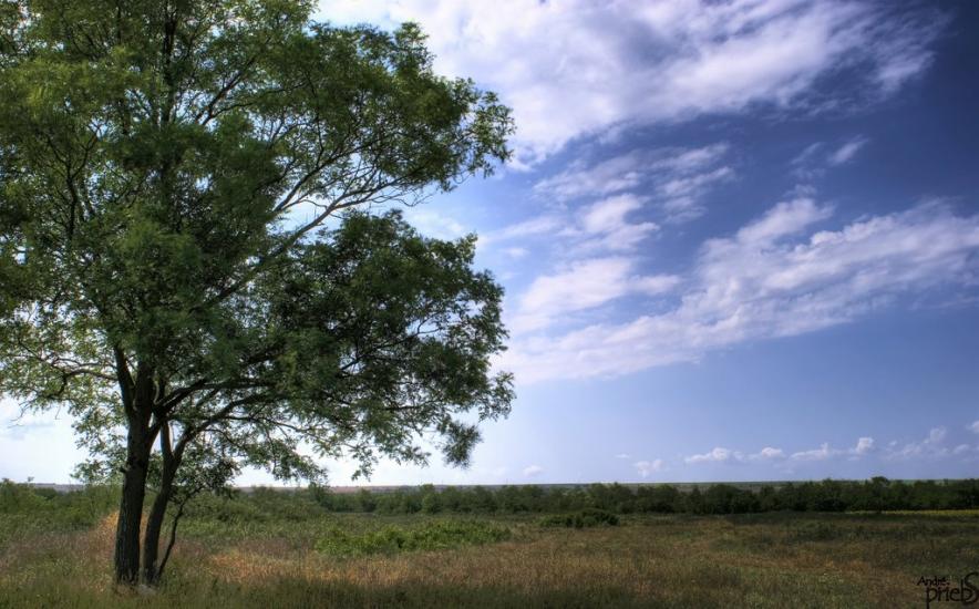 Багерове з panoramio.com - Багерове