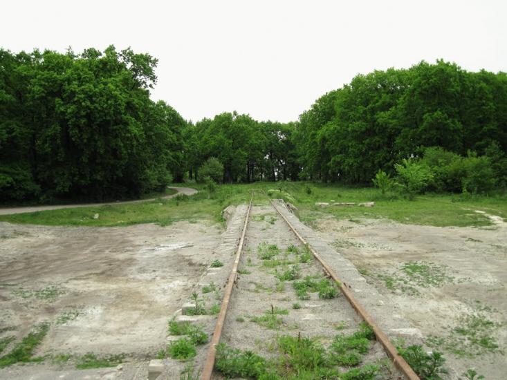 Кельменці з panoramio.com - Кельменцы