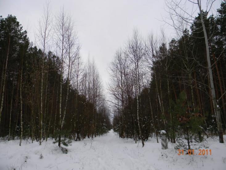 Бірки з panoramio.com - Birky