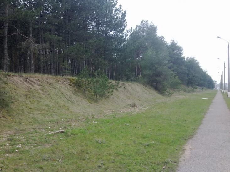 Галицинове з panoramio.com - Галициново