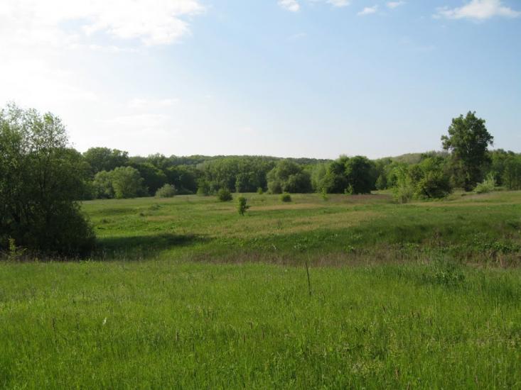 Плавні з panoramio.com - Плавни