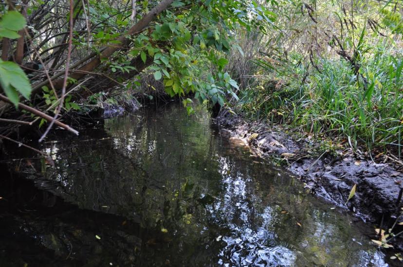 Іванівка з panoramio.com - Ивановка