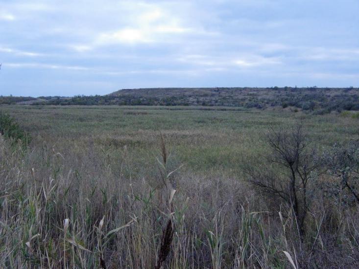 Старозаводське з panoramio.com - Старозаводське