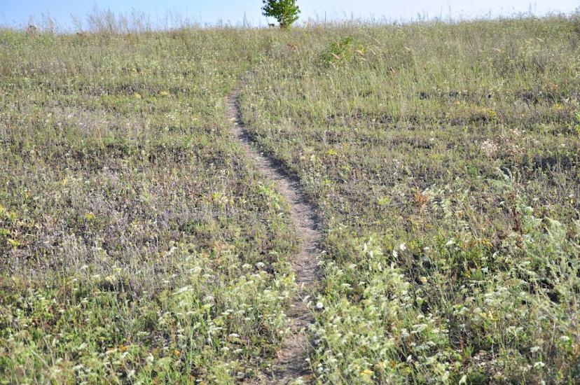 Малополовецьке з panoramio.com - Малополовецьке