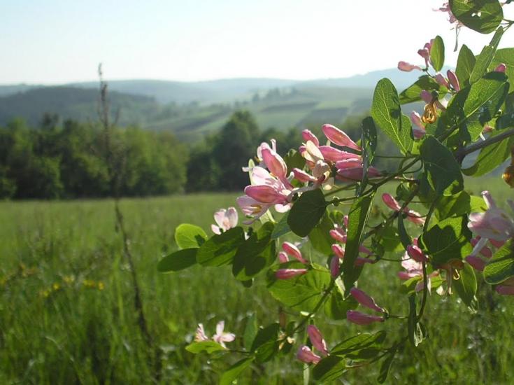 Сунки з panoramio.com - Sunky