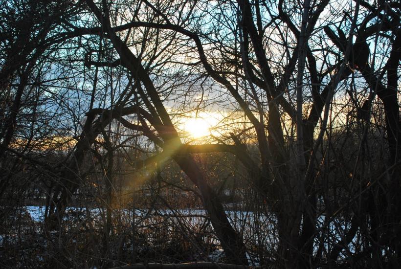 Грушківка з panoramio.com - Грушківка