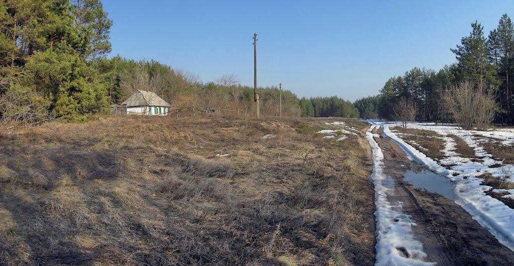 Бірки з panoramio.com - Бирки