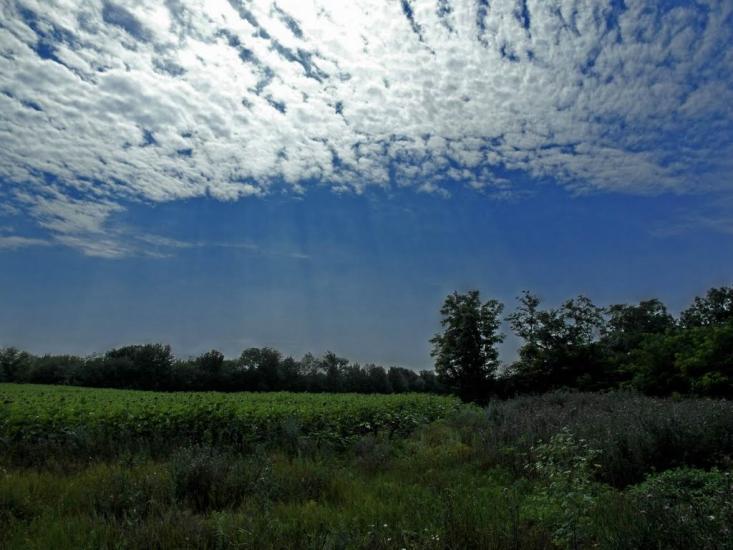 Чапаєвка з panoramio.com - Чапаевка