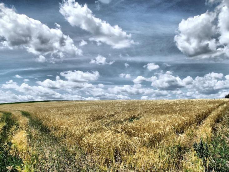 Казаринське з panoramio.com - Казаринське