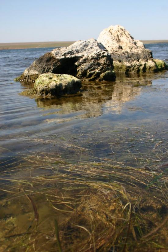 Веселівка з panoramio.com - Веселовка