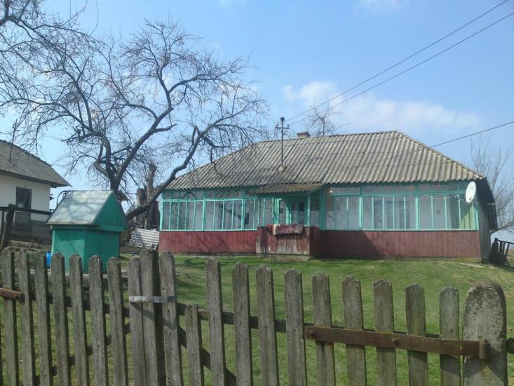 Тарасівці з panoramio.com - Тарасівці