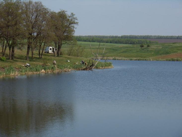 Питомник з panoramio.com - Питомник