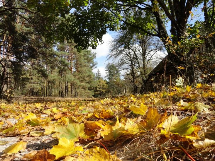 Градиськ з panoramio.com - Градиск