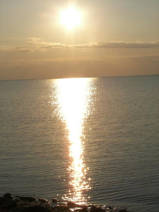Лиман з panoramio.com - Лиман