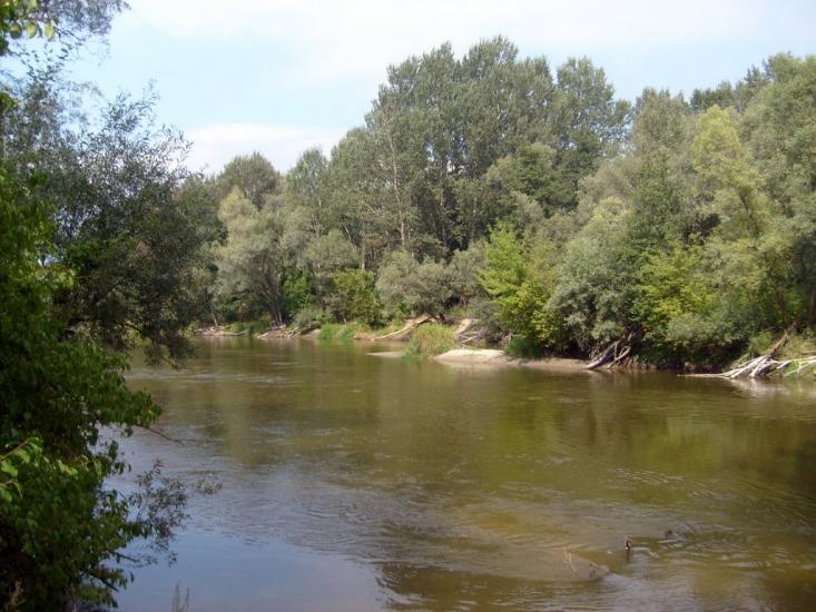 Кошари з panoramio.com - Кошари