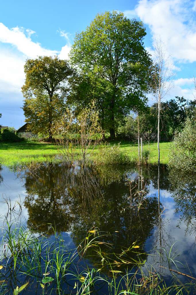 Вереси, які вони є... - Вереси