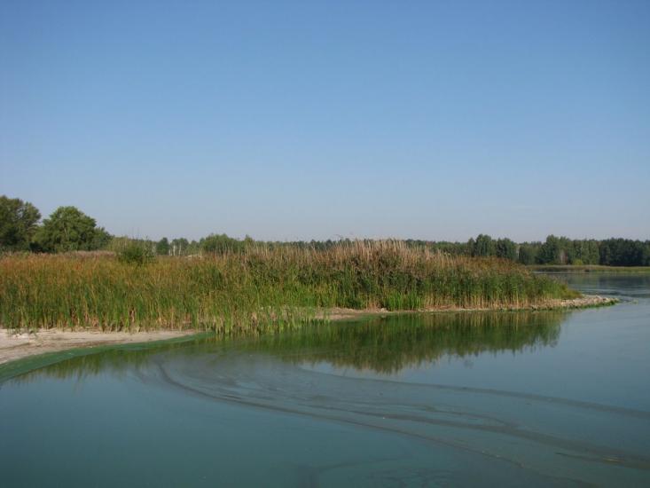 Ліпляве з panoramio.com - Лепляво