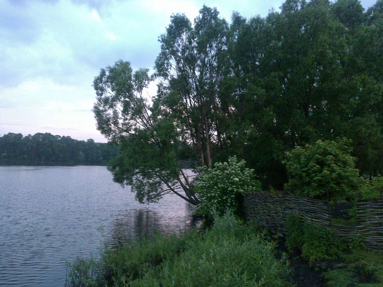 Яструбине - золоте село - Яструбине