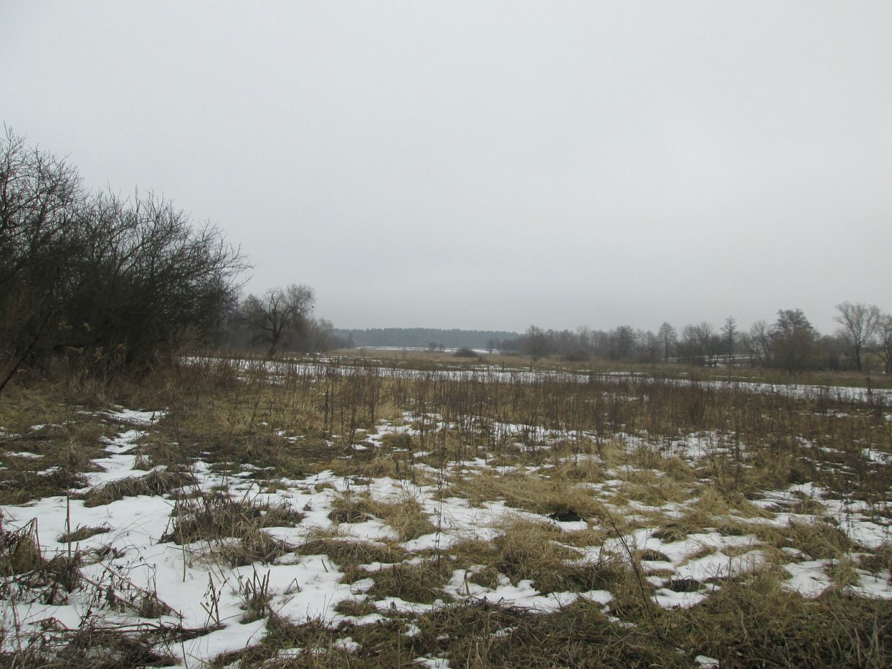 Мостове у лютому 2014 - Мостове