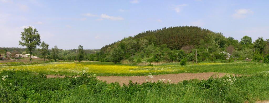 Сунки з panoramio.com - Сунки