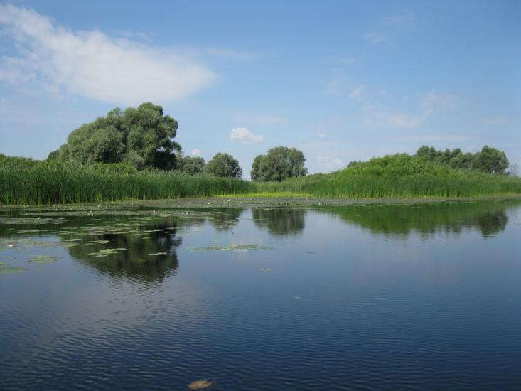 Лохвиця з panoramio.com - Lokhvitsa