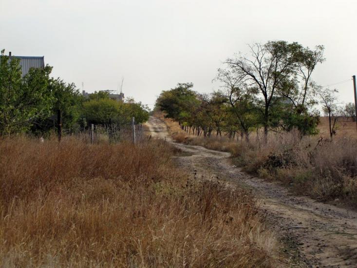 Осетрівка з panoramio.com - Осетрівка