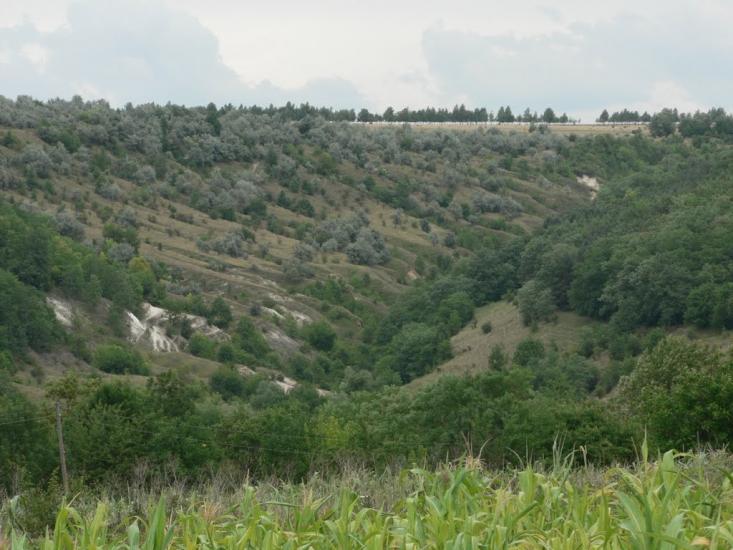 Галайківці з panoramio.com - Галайківці
