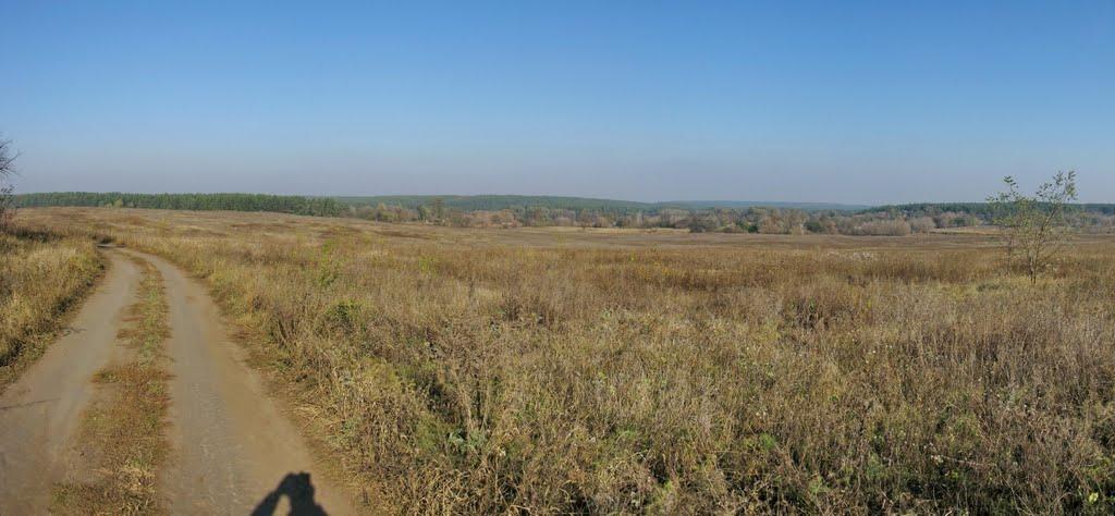Бірки з panoramio.com - Бирки