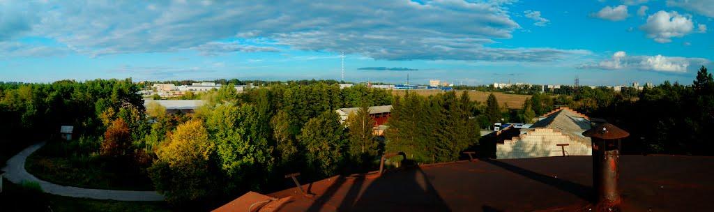 Зарванці з panoramio.com - Зарванцы