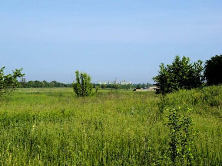 Чапаєвка з panoramio.com - Чапаевка