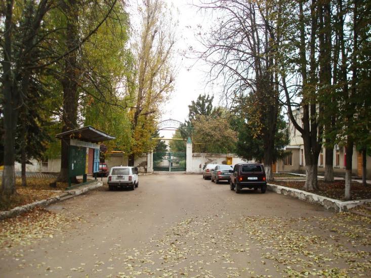 Зеленогірське з panoramio.com - Зеленогорское