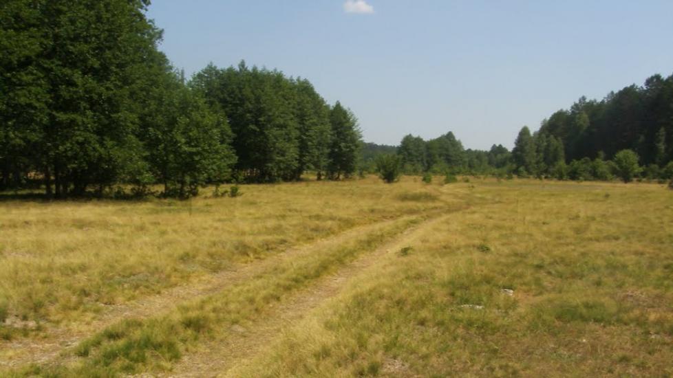 Машеве з panoramio.com - Машево