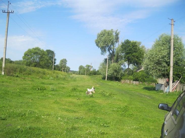 Дем'янівка з panoramio.com - Дем'янівка