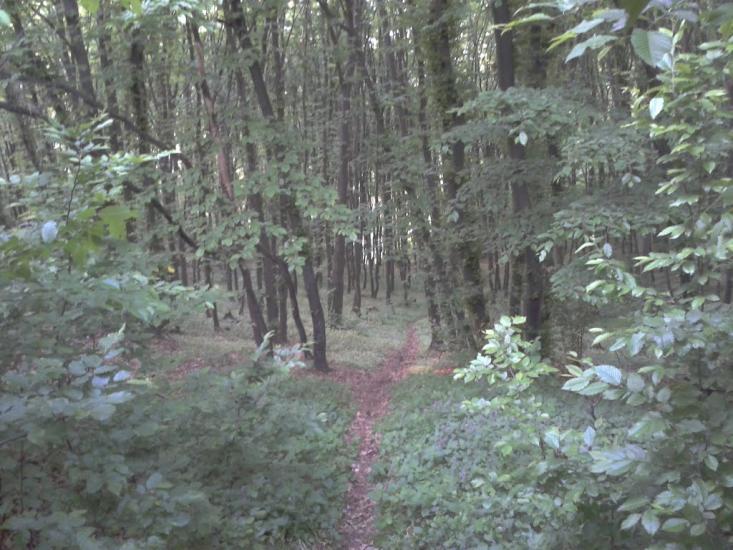 Обухів з panoramio.com - Обухов