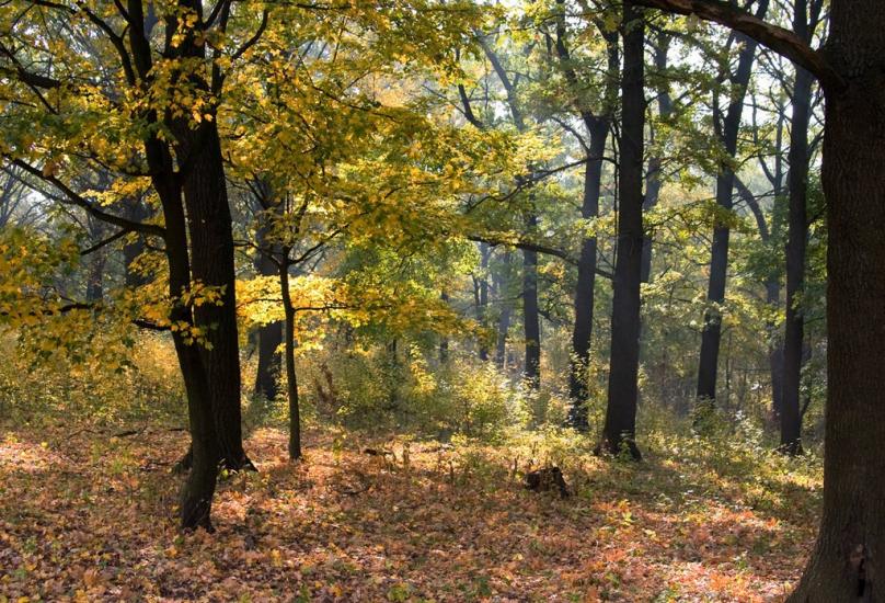 Бабаї з panoramio.com - Бабаи