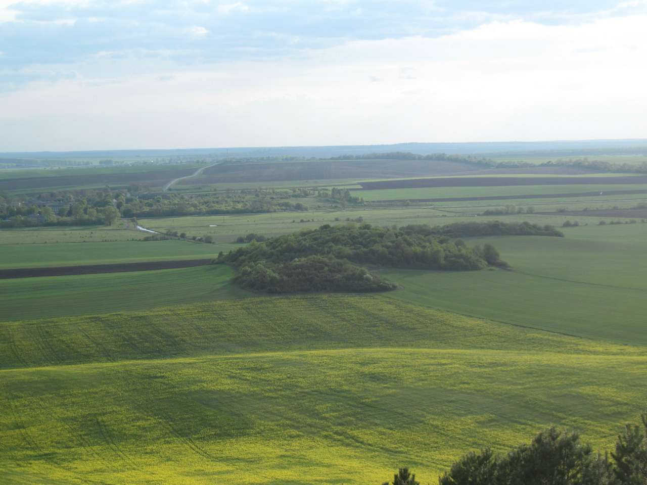 Медобори - Вікно