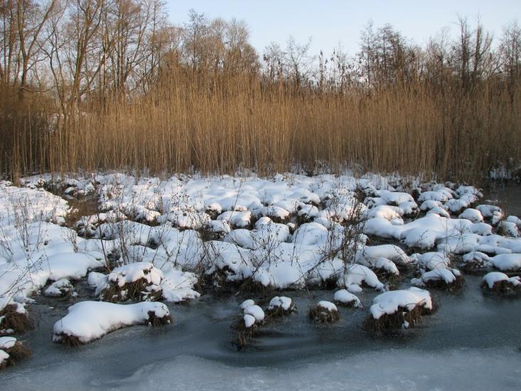 Мартинівка з panoramio.com - Мартыновка
