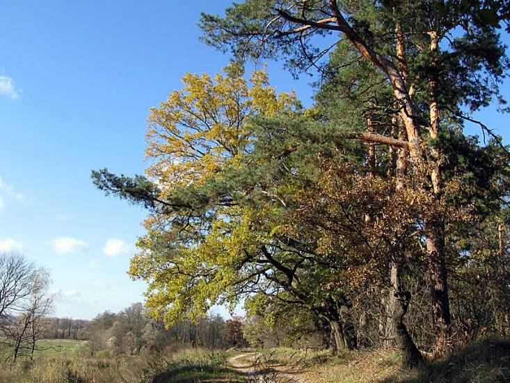 Вельбівка з panoramio.com - Вельбовка